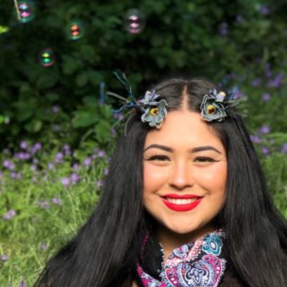 NEW Boho Festival Antler Gypsy Hair Clip Accessory - Picture 2 of 4